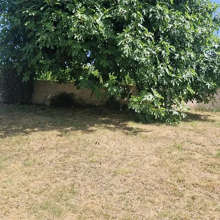 Holiday home Le Jardin Des Vignes, *